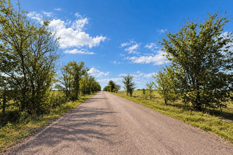 Main listing photo at J. Cherino, Ellis County, Texas land for sale