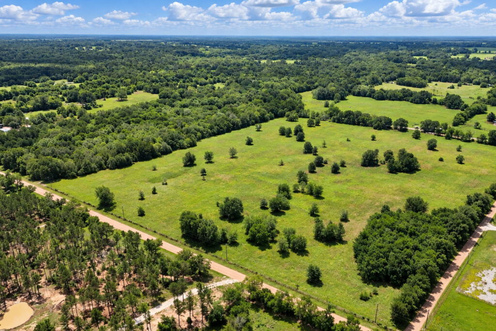 Brush Arbor Ranches land for sale near Athens, Henderson County TX - photo 1