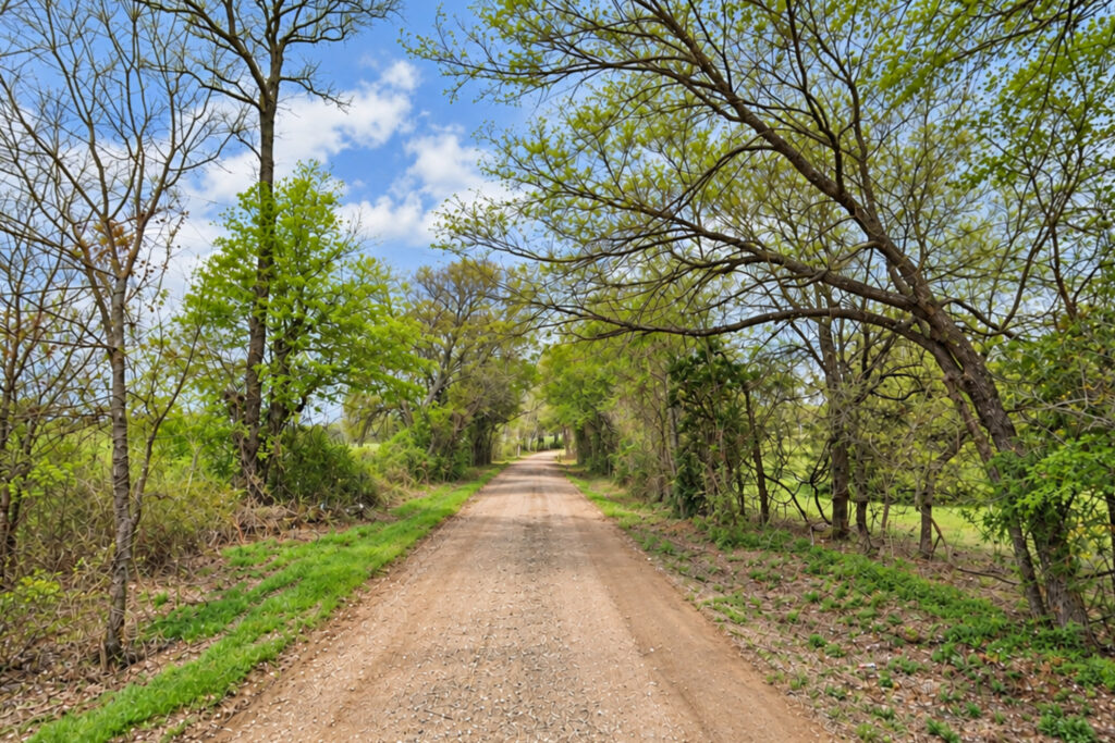 Lords Wood land for sale near Scurry, Kaufman County TX - photo 1